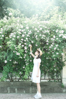 樱电影完整版在线播放